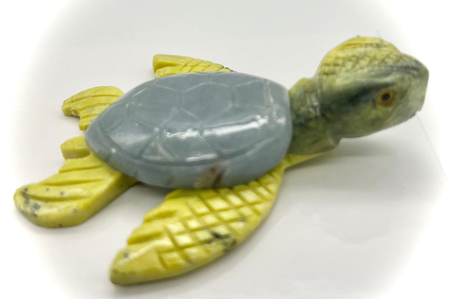 Serpentine Turtle